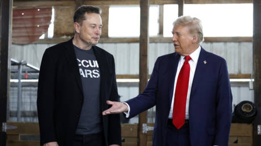 Trump asks Musk to head new US government department