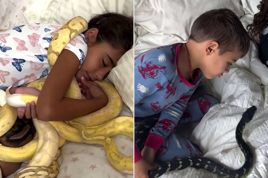 Fla. Family Owns Over 200 Snakes, Including Reptiles that Cuddle with the Kids in Bed