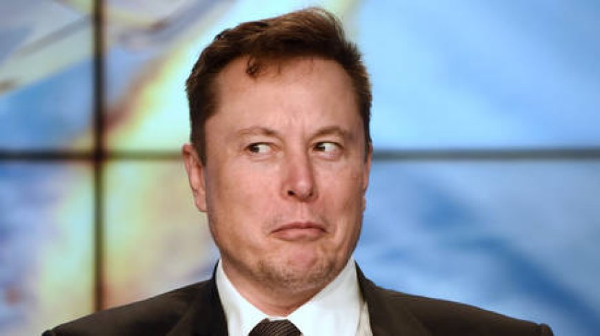 US Democrats demand Musk be probed for Russia ties