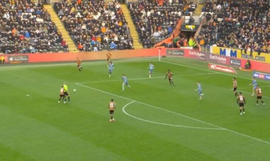 Hull boss Tim Walter says referee apologised after controversial winner for Sunderland