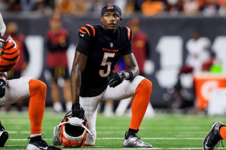 Bengals’ Tee Higgins (quad) is expected to return in Week 11 vs. the Chargers