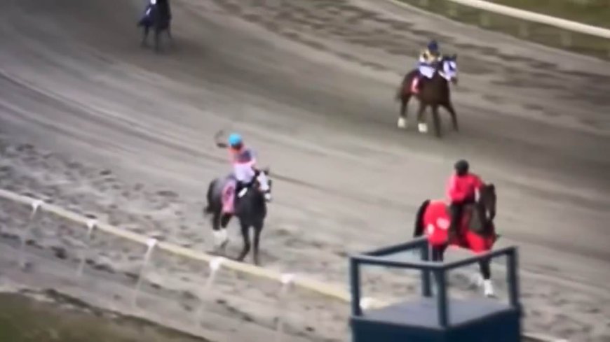 Fans call for 'lifetime ban' for jockey seen hitting two-year-old horse in the FACE after winning race