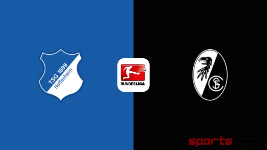 Hoffenheim vs SC Freiburg Live Streaming: Bundesliga Match