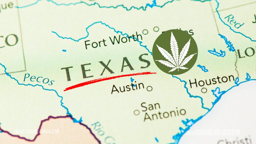 How to Start a CBD Business in Texas: A Comprehensive Guide