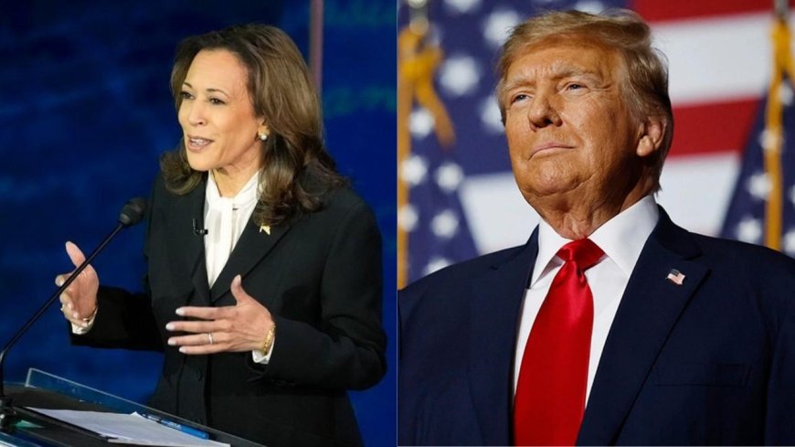 Donald Trump Reveals What Went Wrong for Kamala Harris: ‘She Refused to Talk to Anyone