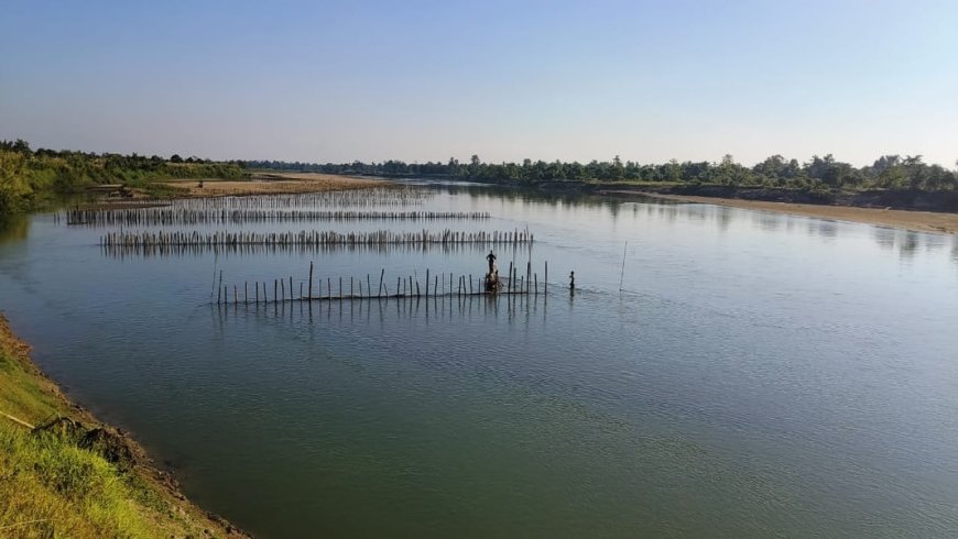 Assam-ni Tengakhat jolo chi bananichi aro a•a ruronganichi neng•nikaniko man•enga