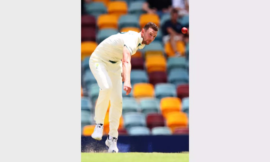 Injured Hazlewood likely to miss rest of Border Gavaskar Trophy