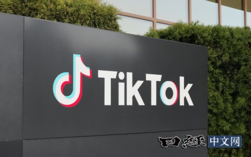 TikTok请求美国最高法院暂缓禁令