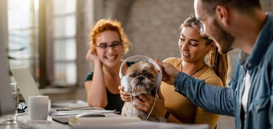 Pets for Performance: How Can Firms Benefit from Office Animals?