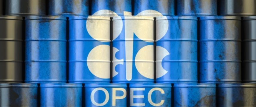 OPEC+ Frets Over U.S. Oil Output Growth Under President Trump