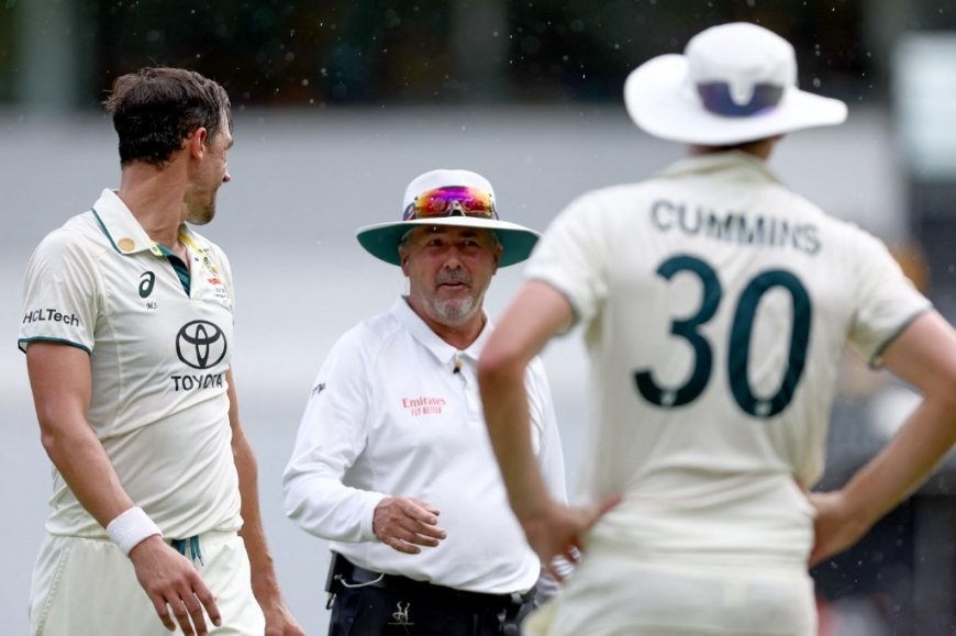 Watch: Visibly Annoyed By Repeated Rain Delays, Starc Pleads To Umpire