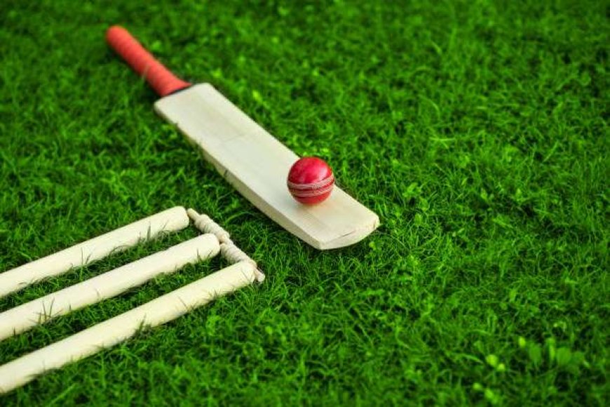 Cricket: Meghalaya’s Vijay Hazare Trophy 2024-25 campaign to begin tomorrow