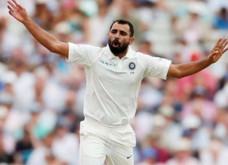 Shami Recovers Completely But Won't Be Picked For BGT. BCCI Explains Why