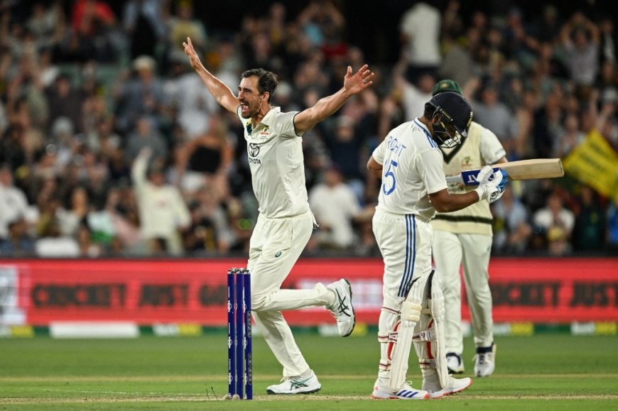 Ignored India Star Lauds Starc, Calls Him The "Best Bowler" For Australia