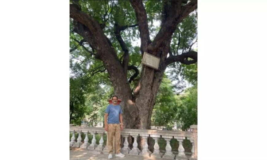 9 historic trees in Telangana mapped for declaring them as heritage site