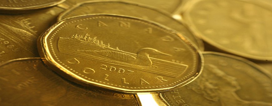 USD / CAD - Canadian dollar remains under pressure