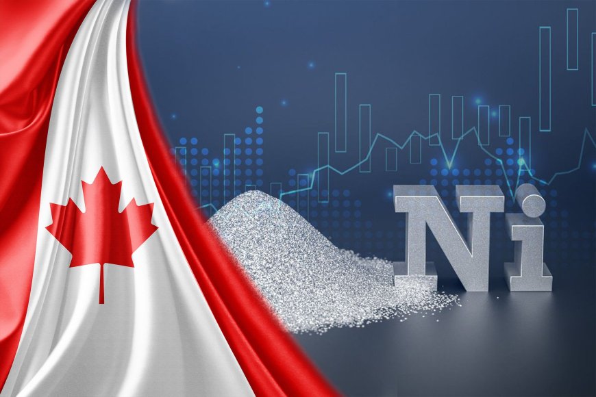 5 Best-performing Canadian Nickel Stocks of 2024