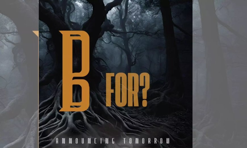 Sudhanshu Rai Teases Fans with Cryptic "B for?" Post