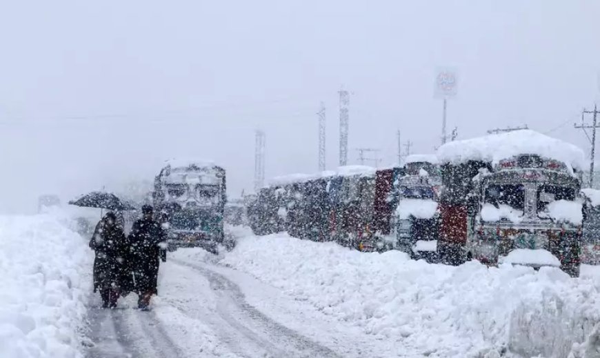 Snowfall disrupts Kashmir: Flights, rail services suspended, highway closed