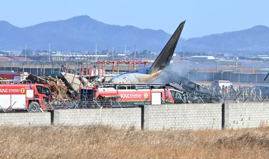 Death toll from plane crash at South Korean airport rises to 174