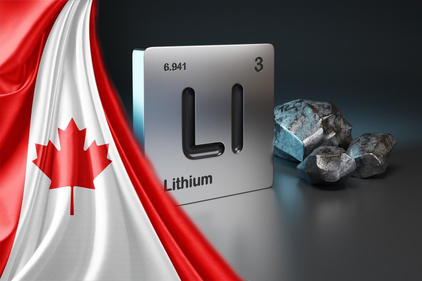 Top 5 Canadian Lithium Stocks of 2024