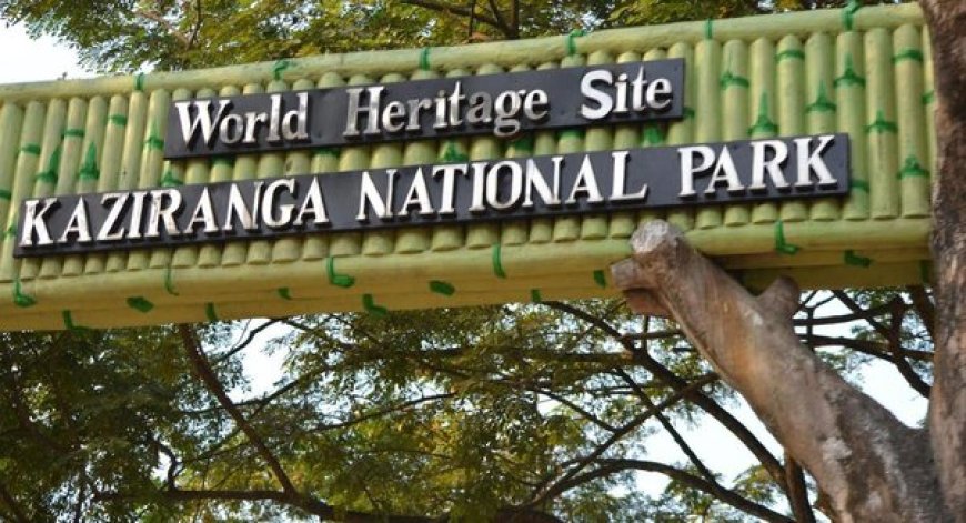 Kaziranga National Park records landmark achievements in 2024