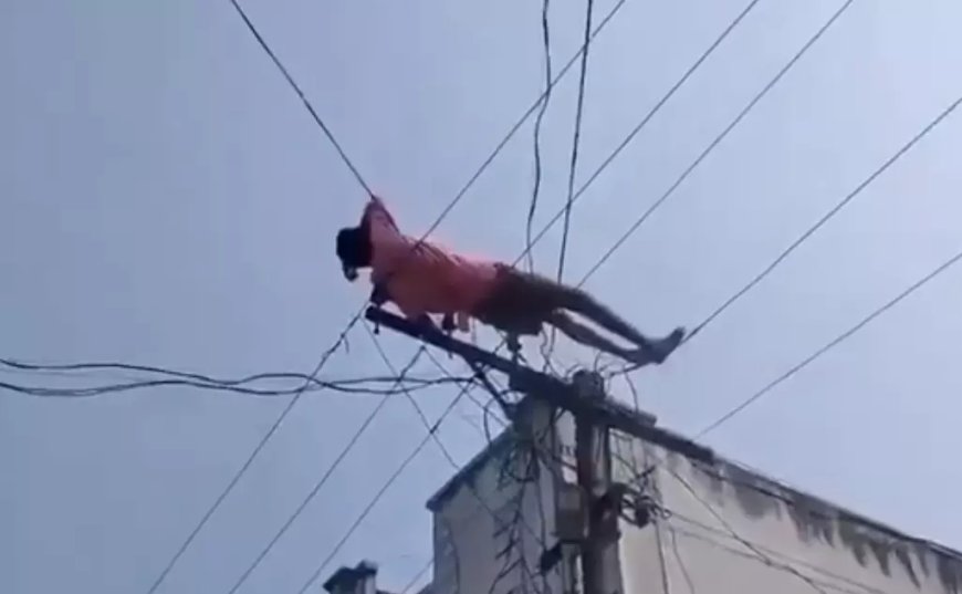 Watch: Drunk man creates chaos in AP, performs stunts on electric wires