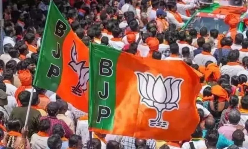 Special officers' rule in Telangana villages worse: BJP