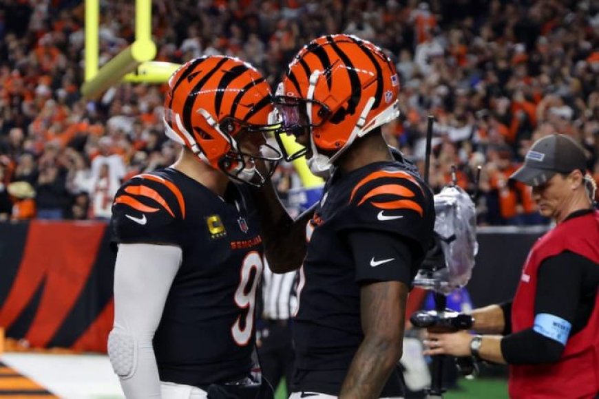 Bengals: Joe Burrow wants the front office to sign Tee Higgins to a long-term deal