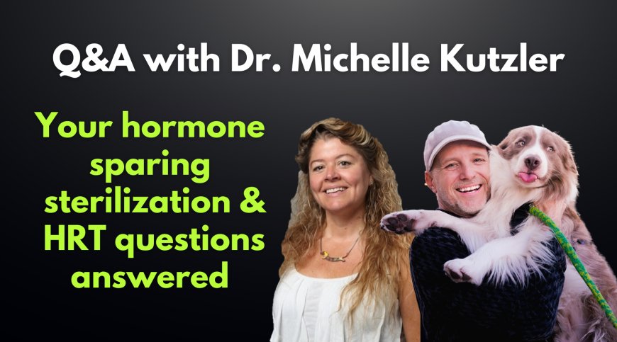 Empowering Dog Owners: Your Questions on Sterilization Alternatives and Hormone Therapy Answered