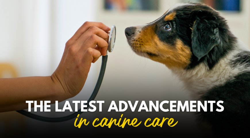 Embracing Change: The Latest Advancements in Canine Care