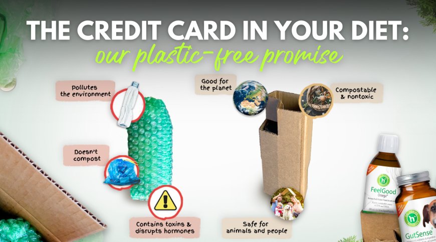 The Credit Card in Your Diet: Microplastics, Pet Health, and Our Plastic-Free Promise