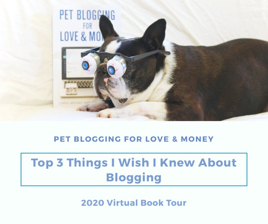 The Top Three Things I Wish I Knew About Blogging