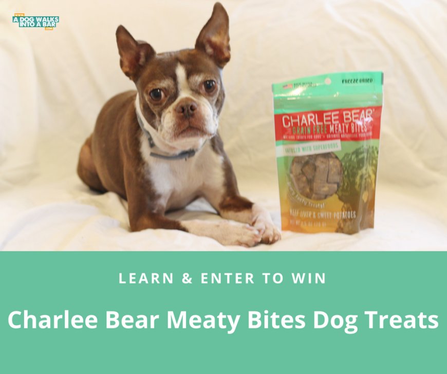 What's the Best Natural Dog Treat