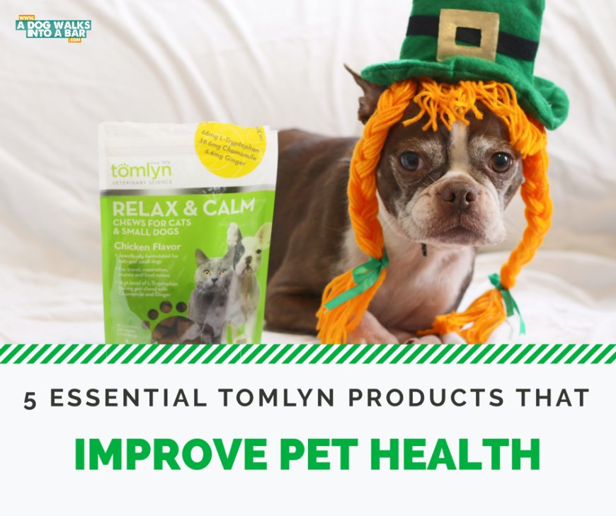 Five Essential Tomlyn Products to Improve Dog Health