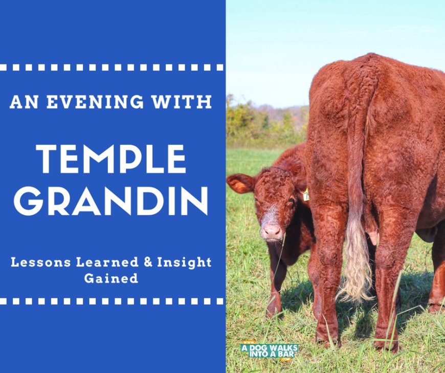 Lessons Learned from Temple Grandin