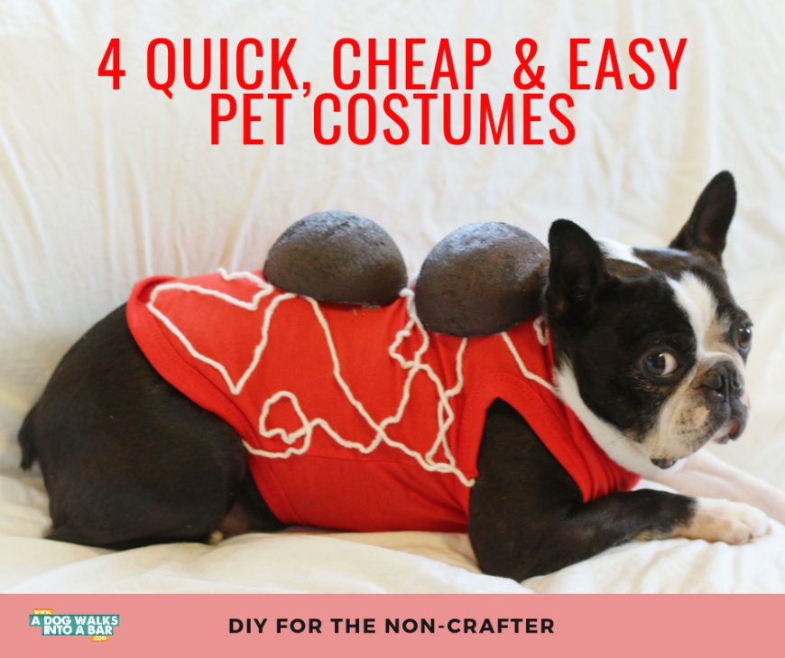 Four Quick, Cheap and Easy DIY Dog Costumes