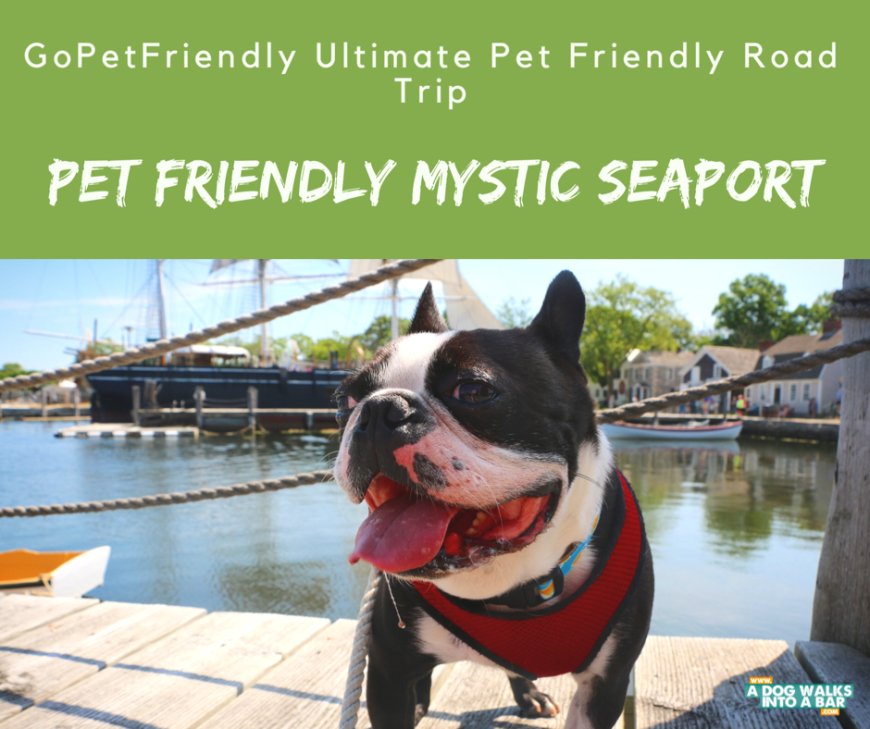 Pet Friendly Mystic Seaport and Giveaway