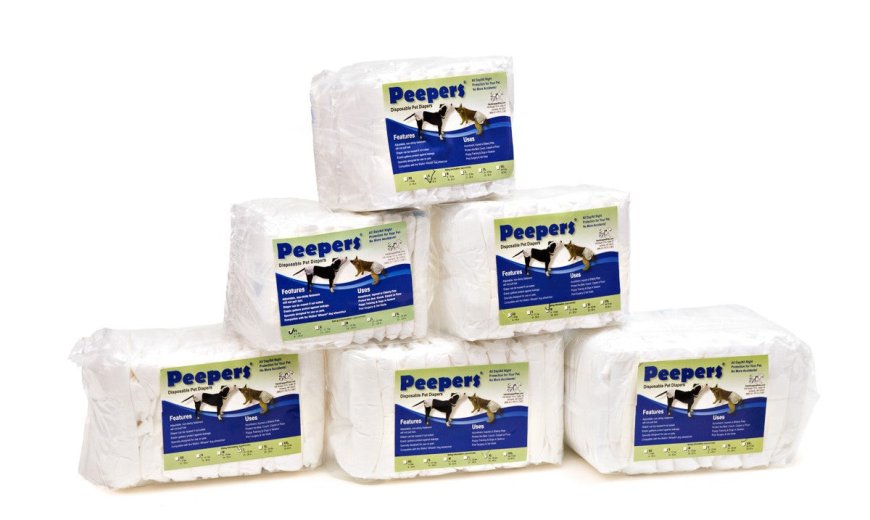 Dog Diapers an Easy Solution to Accidents and Incontinence