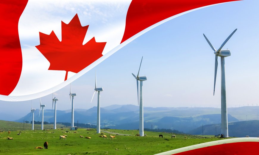 5 Best-performing Canadian Cleantech Stocks of 2024