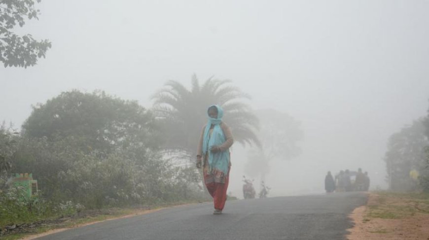 Delhi Faces Dense Fog, Minimum Temperature Drops to 7.6°C