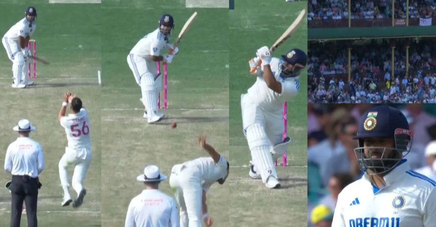 AUS vs IND [WATCH]: Rishabh Pant hits a massive six to bring up his 29-ball fifty against Mitchell Starc on Day 2 of the SCG Test