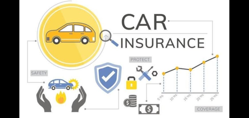 What Are the Different Types of Car Insurance Policies?