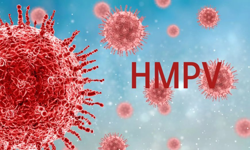 HMPV: Why immunocompromised individuals are at greater risk