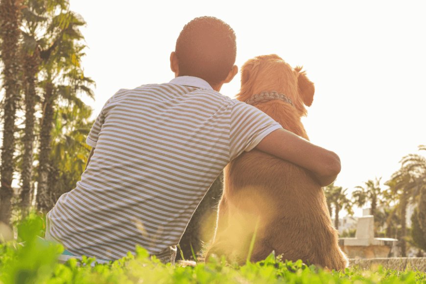 Why You Should Keep Your Dog: Embracing the Joy of Companionship