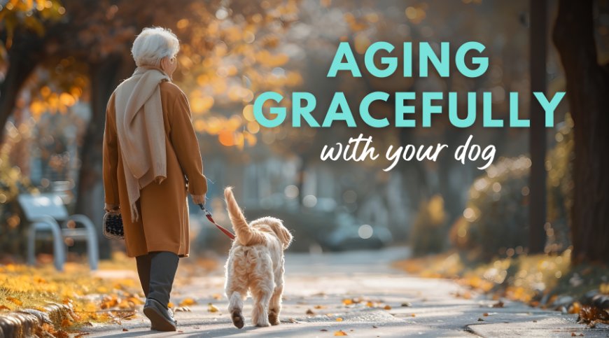 Aging Gracefully with Your Dog