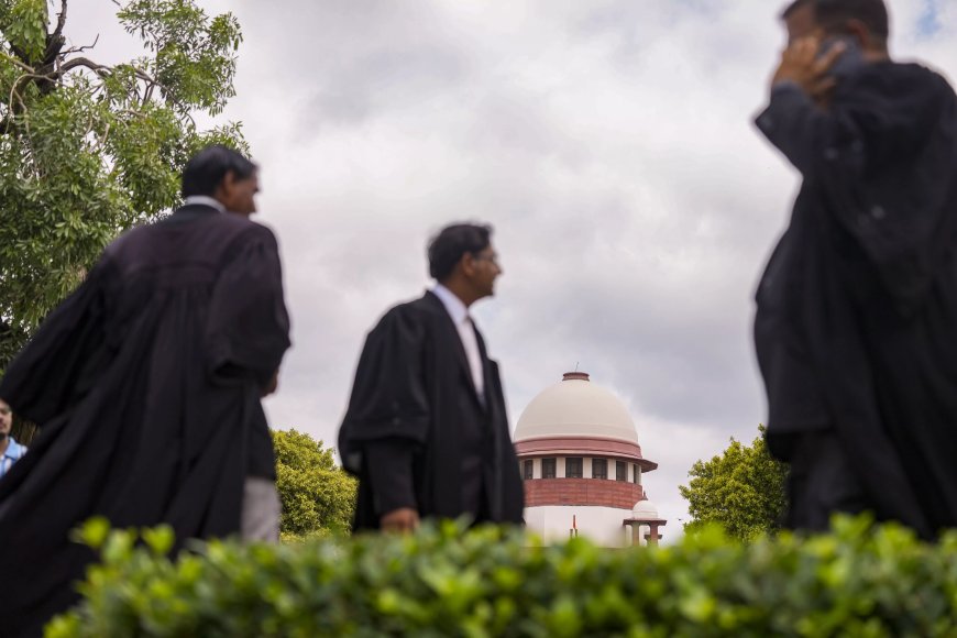 CLAT UG 2025: SC to hear Consortium of NLUs' pleas over case transfer from HCs