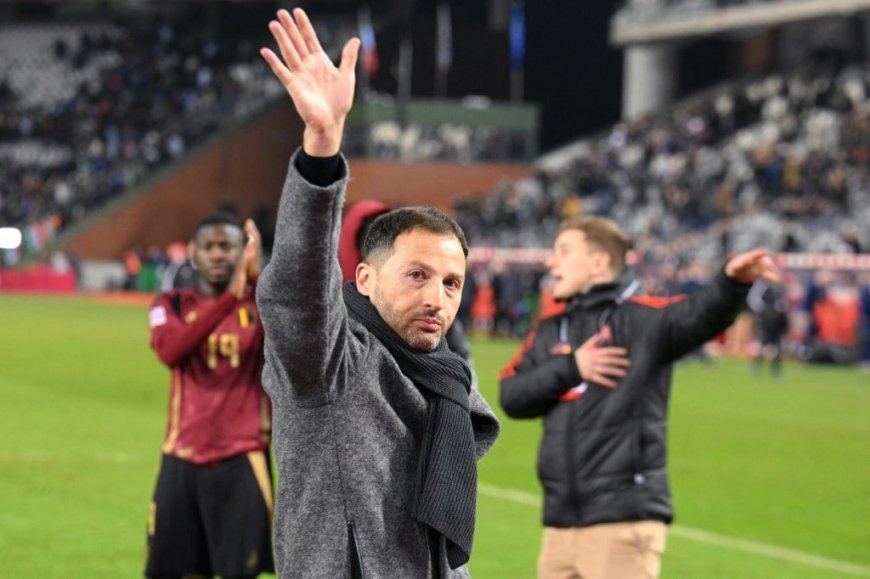 Belgium Sack National Team Coach Domenico Tedesco