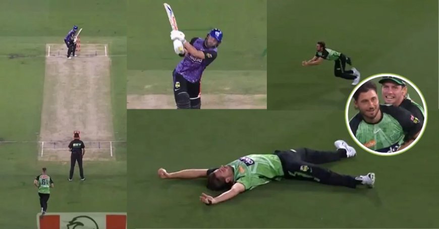 WATCH: Marcus Stoinis pulls off an extraordinary backward-running catch in the BBL 2024-25