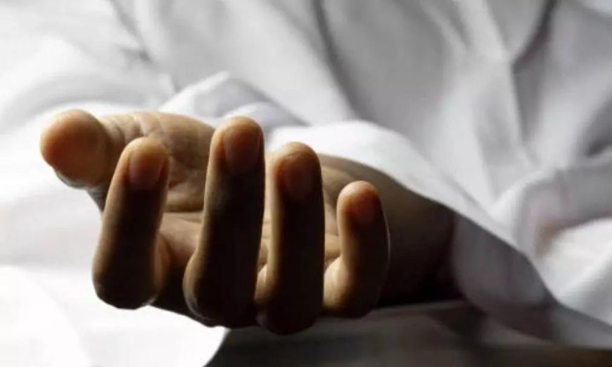 Andhra Pradesh: Field Assistant Hacked to Death